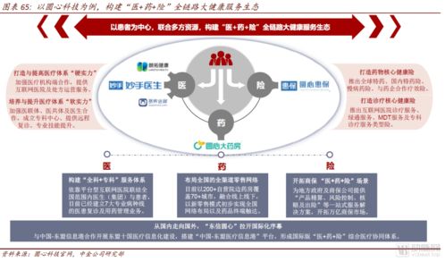中金公司互聯(lián)網(wǎng)醫(yī)藥產(chǎn)業(yè)報告 醫(yī)藥零售高毛利時代謝幕，全域互聯(lián)網(wǎng)銷售新紀元已來