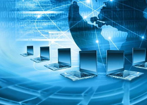 計算機網絡的組成與功能及數據處理存儲服務